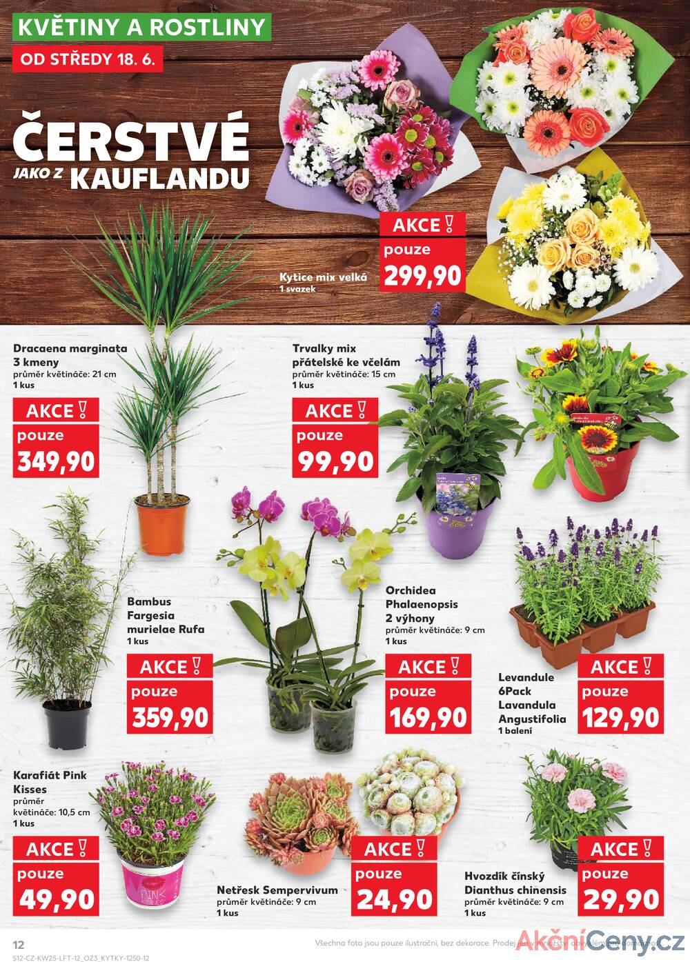 Leták Kaufland - Kaufland 18.6. - 24.6. - Kaufland - Prostějov (Okružní ulice) - strana 12
