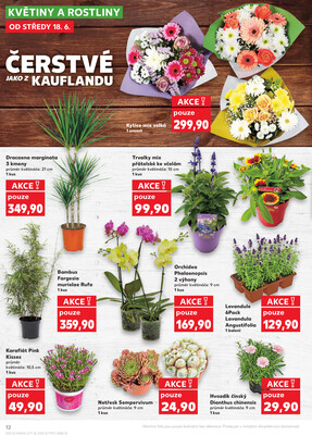 Kaufland 18.6. - 24.6. - Kaufland - Brno - Ponava