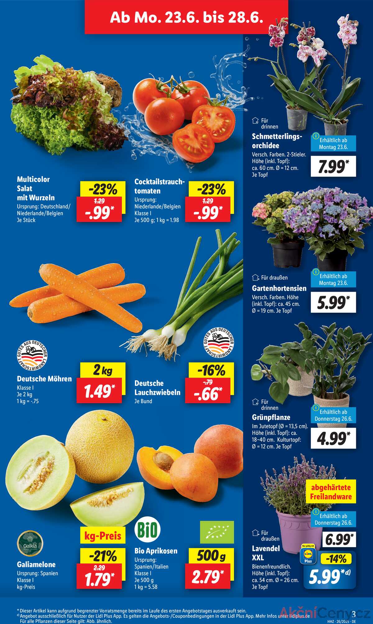 Leták Lidl Německo 23.6.-28.6.2025 strana 3