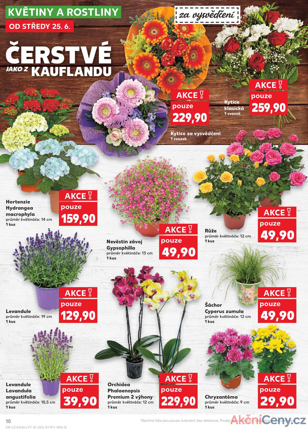 Kaufland 25.6. - 1.7. - Kaufland - Kopřivnice strana 10