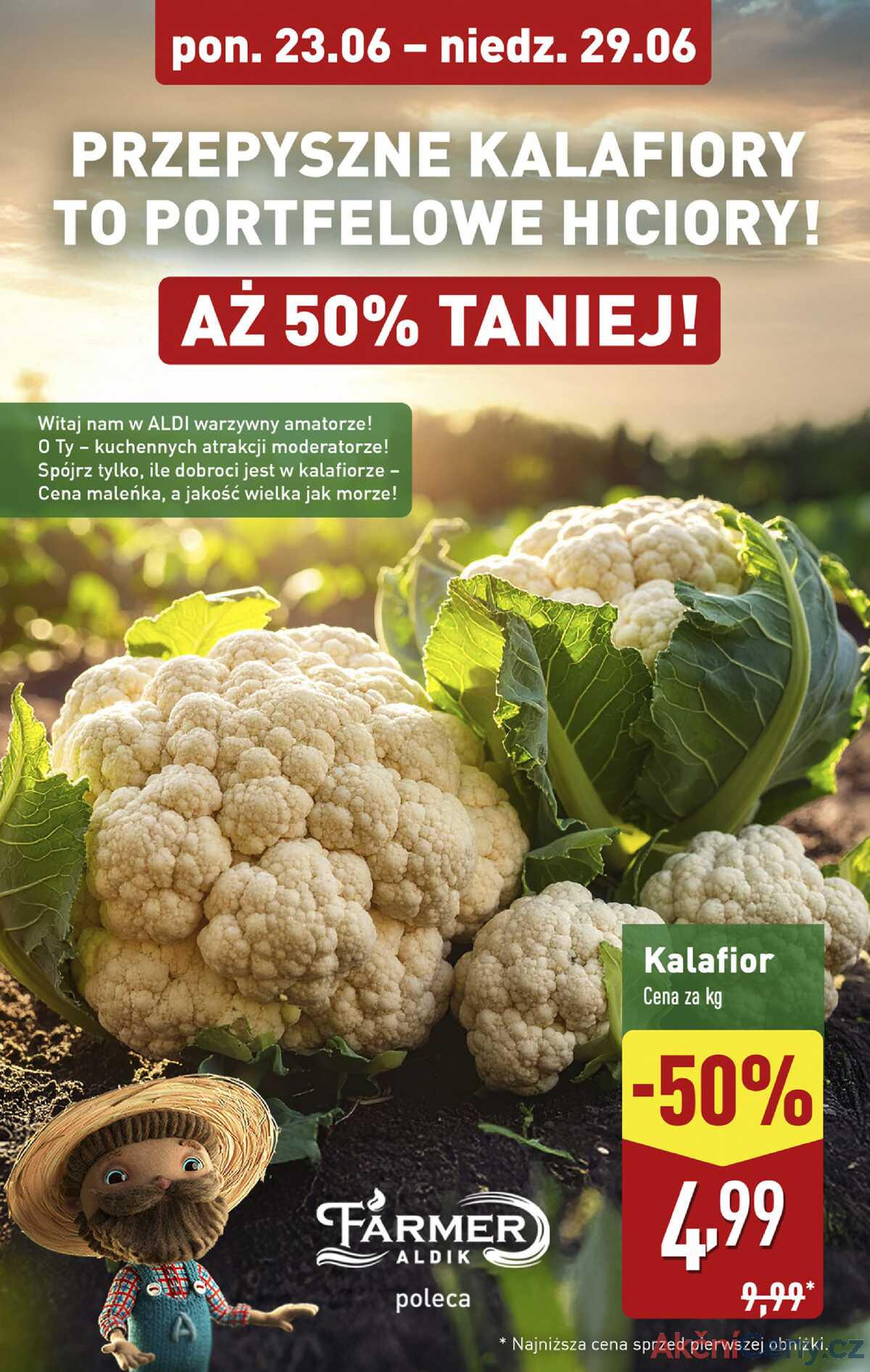 Leták Aldi Polsko 23.6.-29.6.2025 strana 4