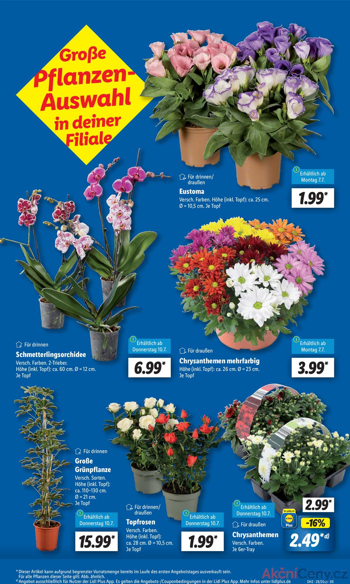 Leták Lidl Německo 7.7.-12.7.2025 strana 5