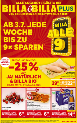 Billa Rakousko (Österreich) letáky