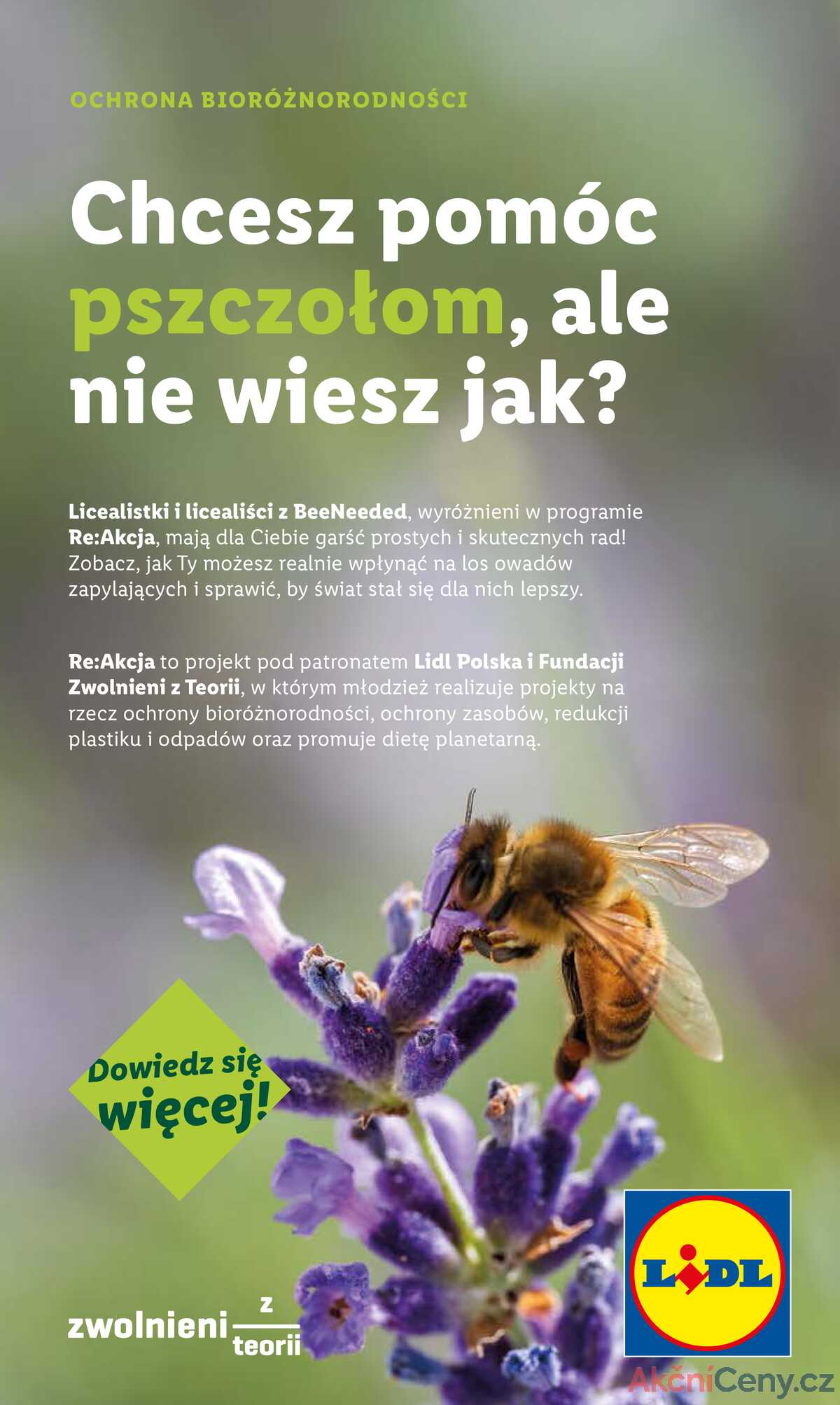 Katalog Lidl Polsko 14.7.-19.7.2025 strana 50