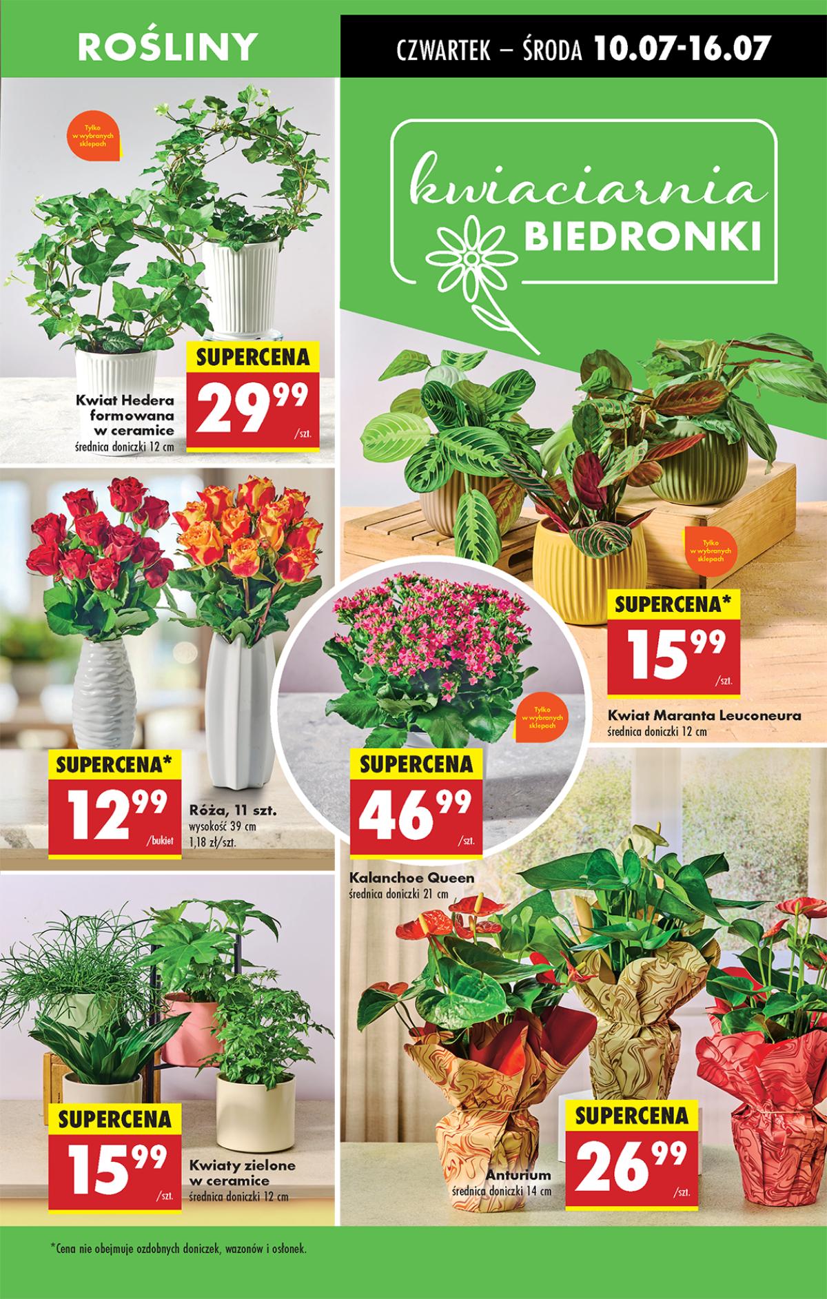 Leták Biedronka Polsko 10.7.-16.7.2025 strana 19