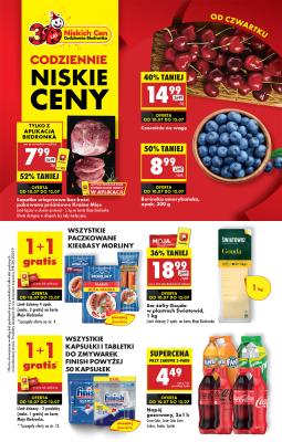Biedronka Polsko (Polska) letáky