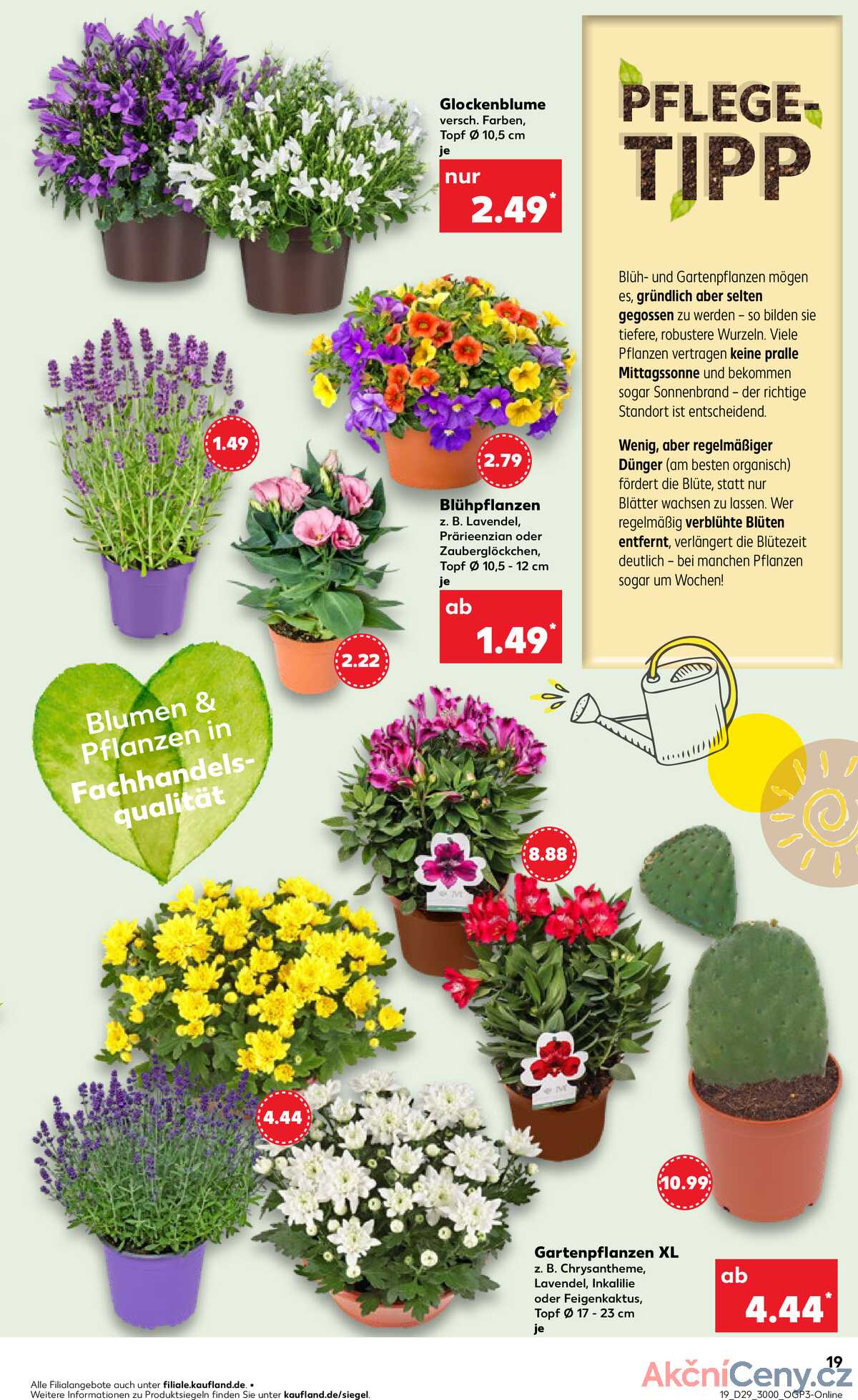 Leták Kaufland Německo 17.7.-23.7.2025 strana 19