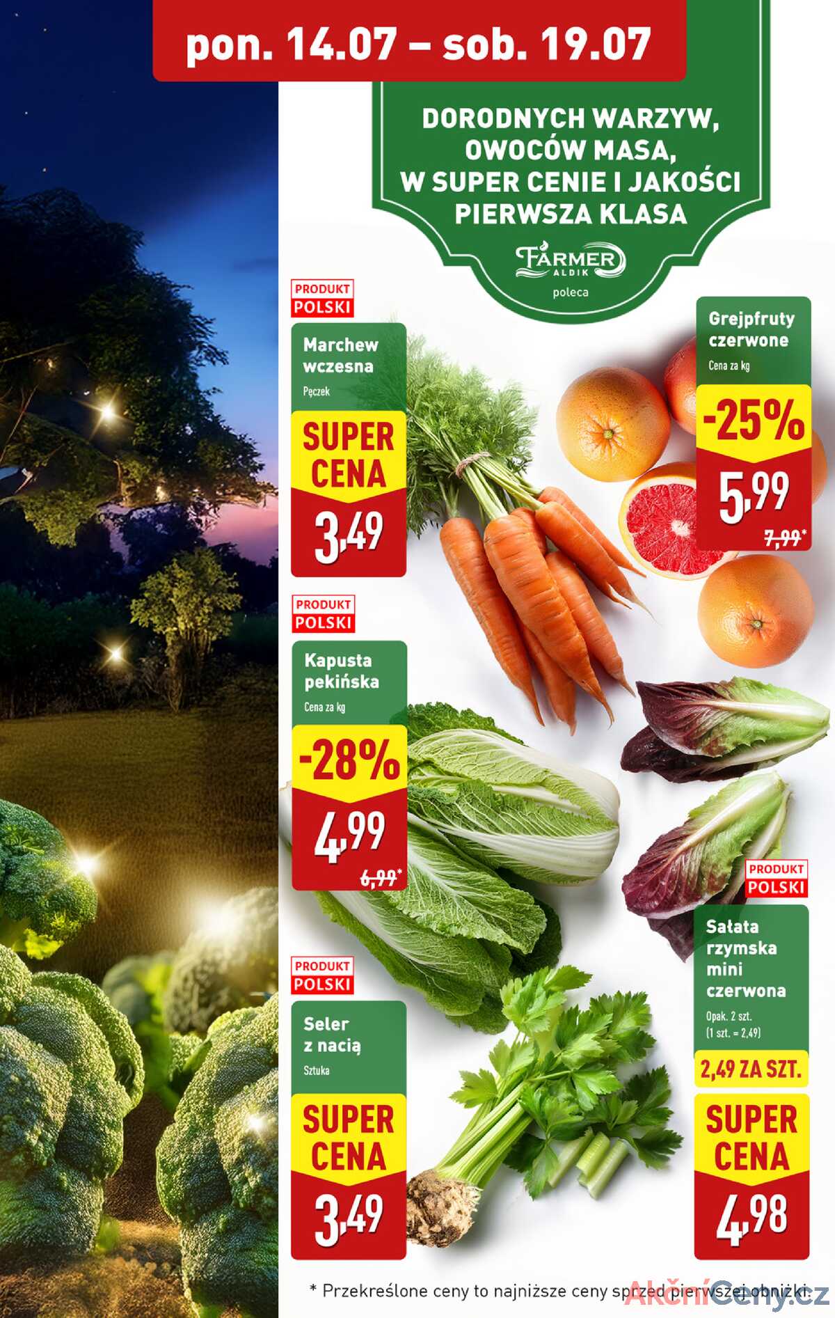 Leták Aldi Polsko 14.7.-19.7.2025 strana 5