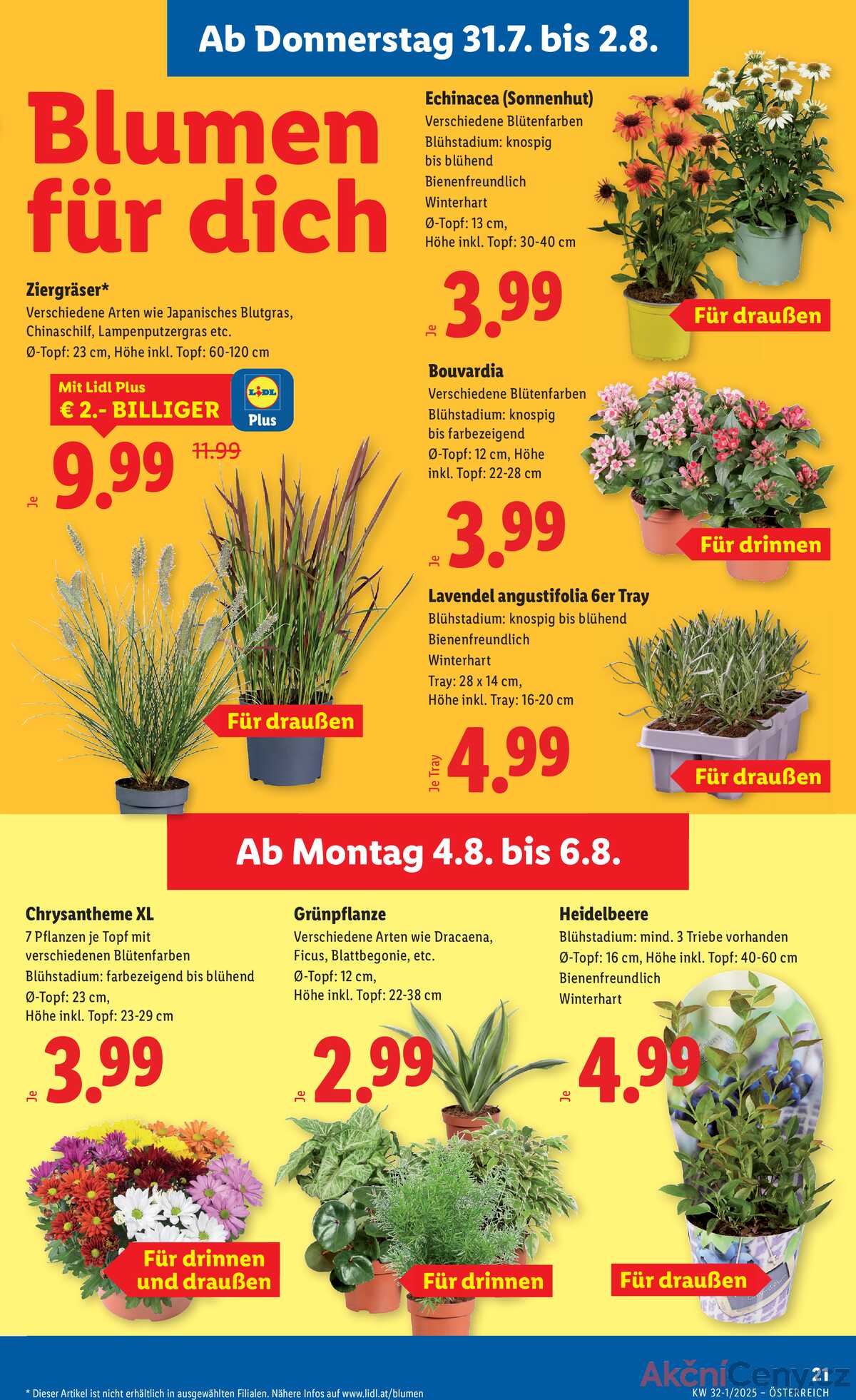 Leták Lidl Rakousko 31.7.-6.8.2025 strana 23