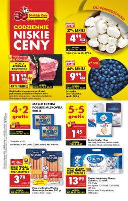 Biedronka Polsko (Polska) letáky