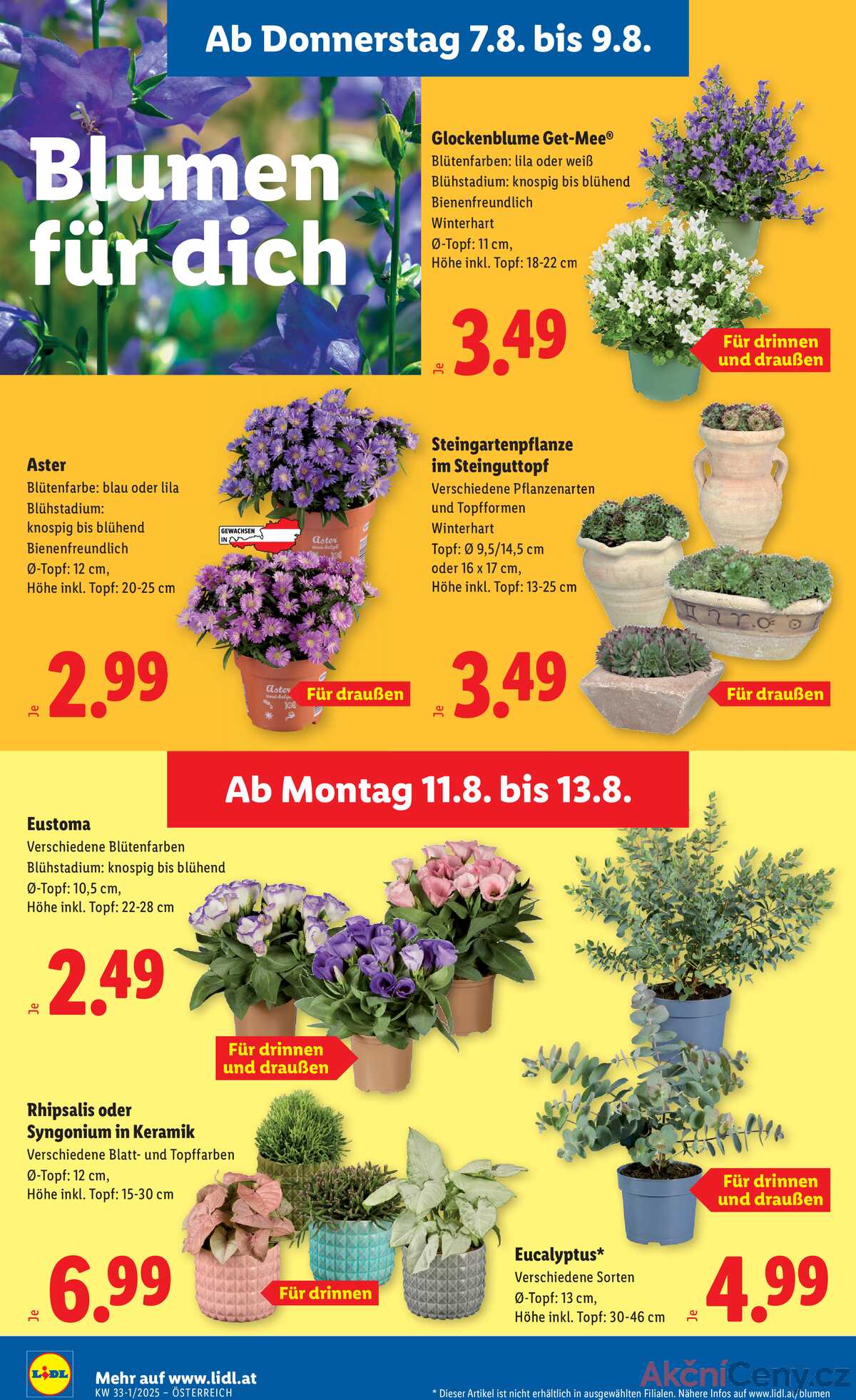 Leták Lidl Rakousko 7.8.-13.8.2025 strana 26
