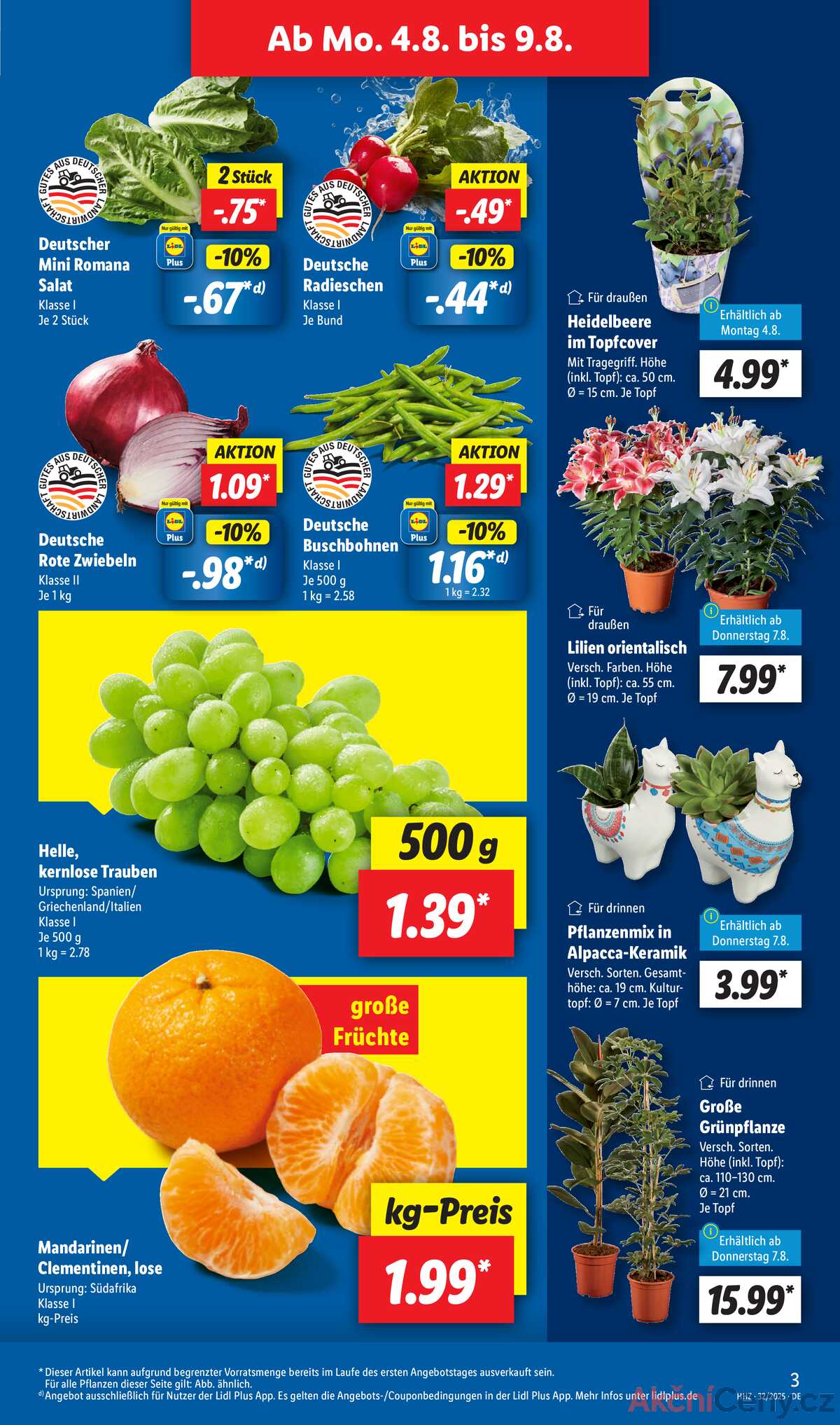 Leták Lidl Německo 4.8.-9.8.2025 strana 3