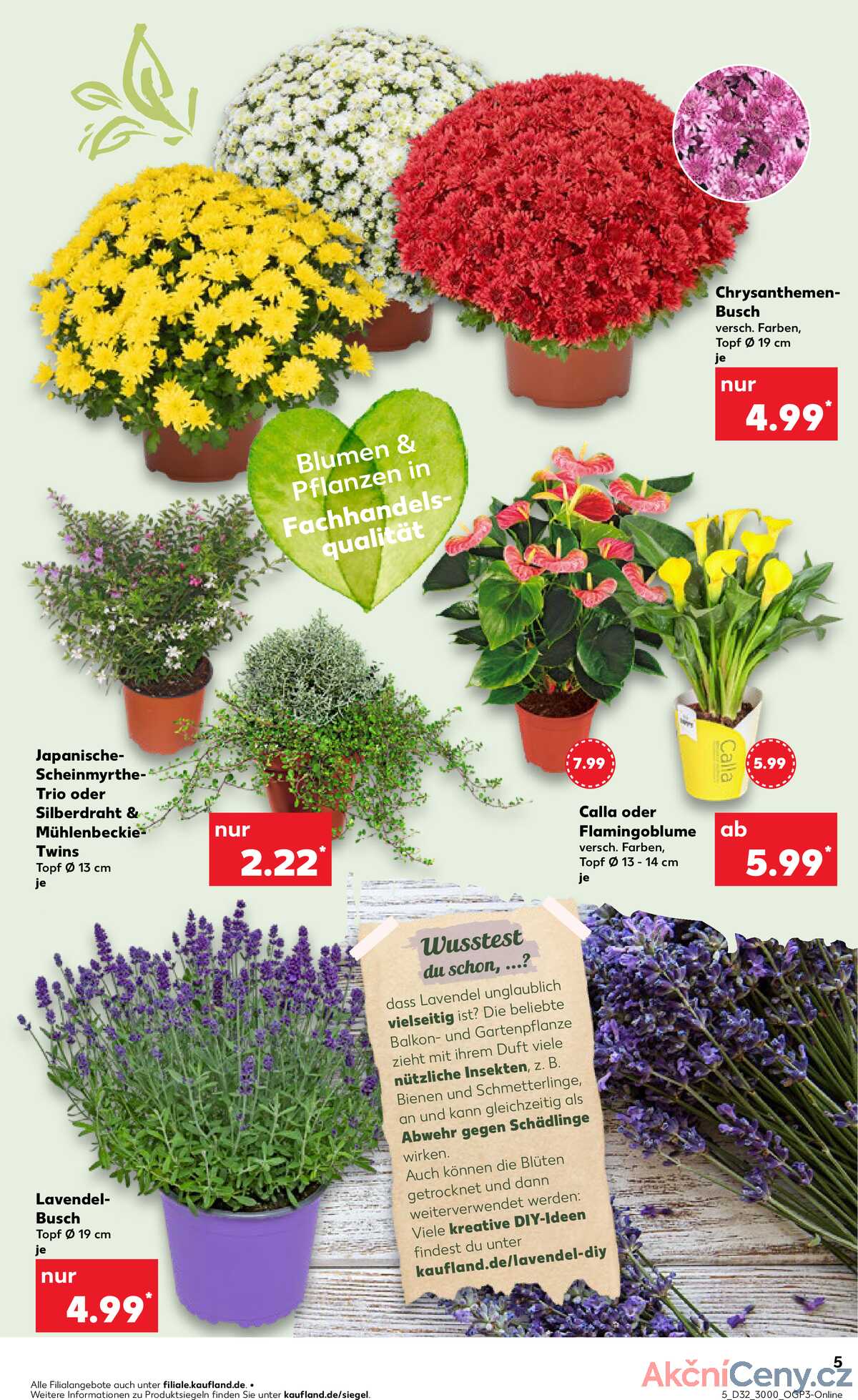 Leták Kaufland Německo 7.8.-13.8.2025 strana 5