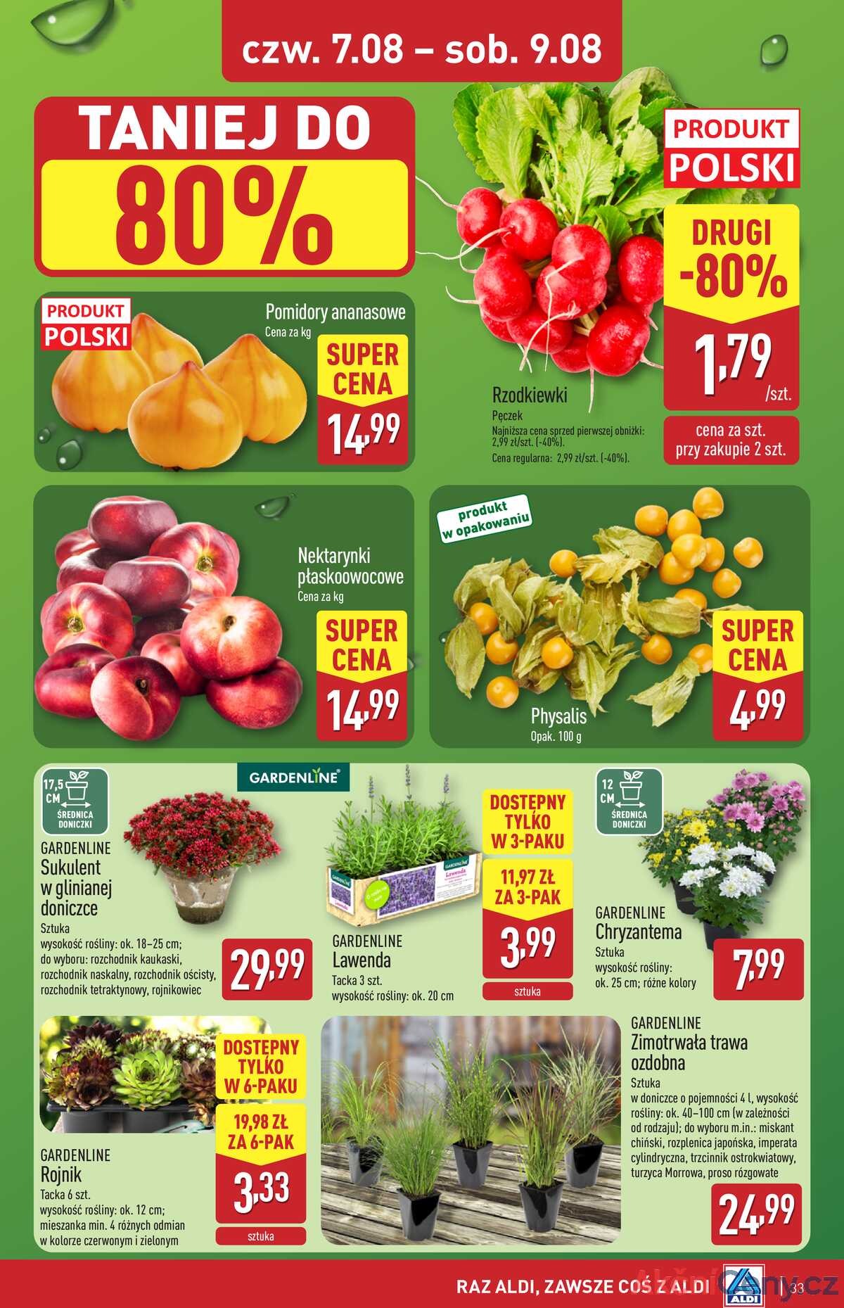 Leták Aldi Polsko 4.8.-9.8.2025 strana 33