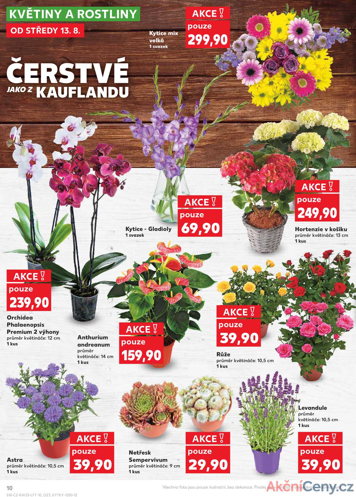 Kaufland 13.8. - 19.8. - Kaufland - Frýdek Místek strana 10