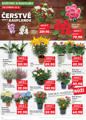 Kaufland 20.8. - 26.8. - Kaufland - Plzeň (Lochotínská)