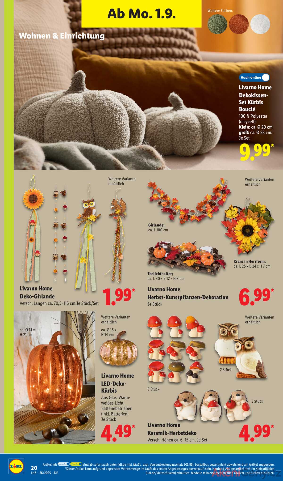 Leták Lidl Německo 1.9.-6.9.2025 strana 10