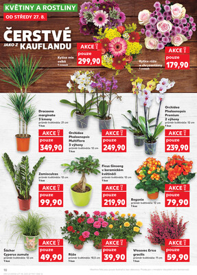 Kaufland 27.8. - 2.9. - Kaufland - Zlín ( OC Čepkov)