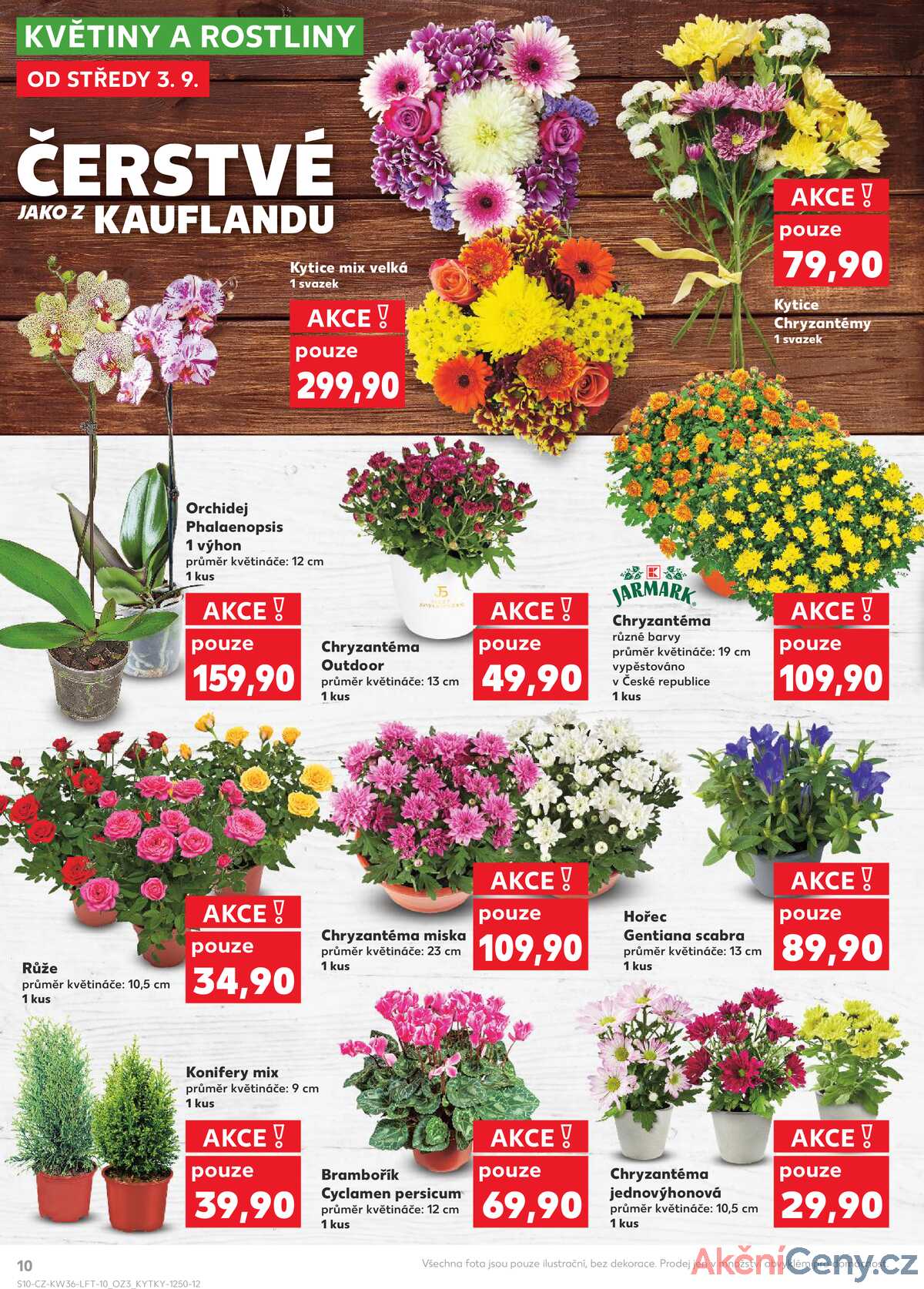 Kaufland 3.9. - 9.9. - Kaufland - Uherský Brod strana 10