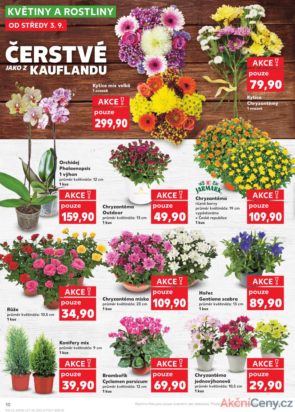 Leták Kaufland - Kaufland 3.9. - 9.9. - Kaufland - Sokolov - strana 10