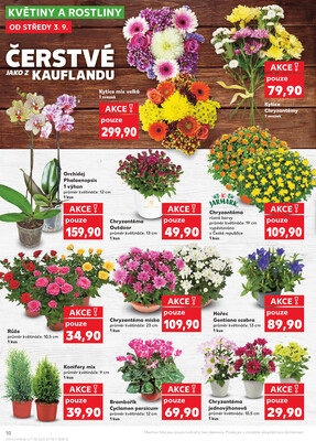 Kaufland 3.9. - 9.9. - Kaufland - Sokolov