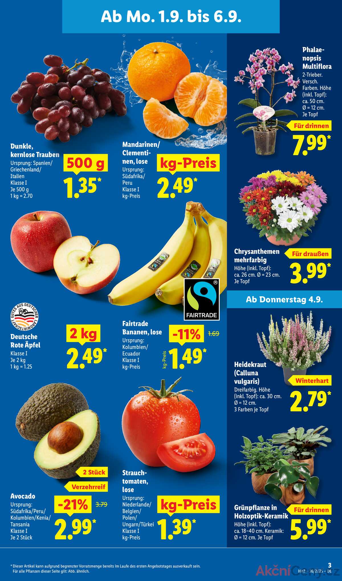 Leták Lidl Německo 1.9.-6.9.2025 strana 3