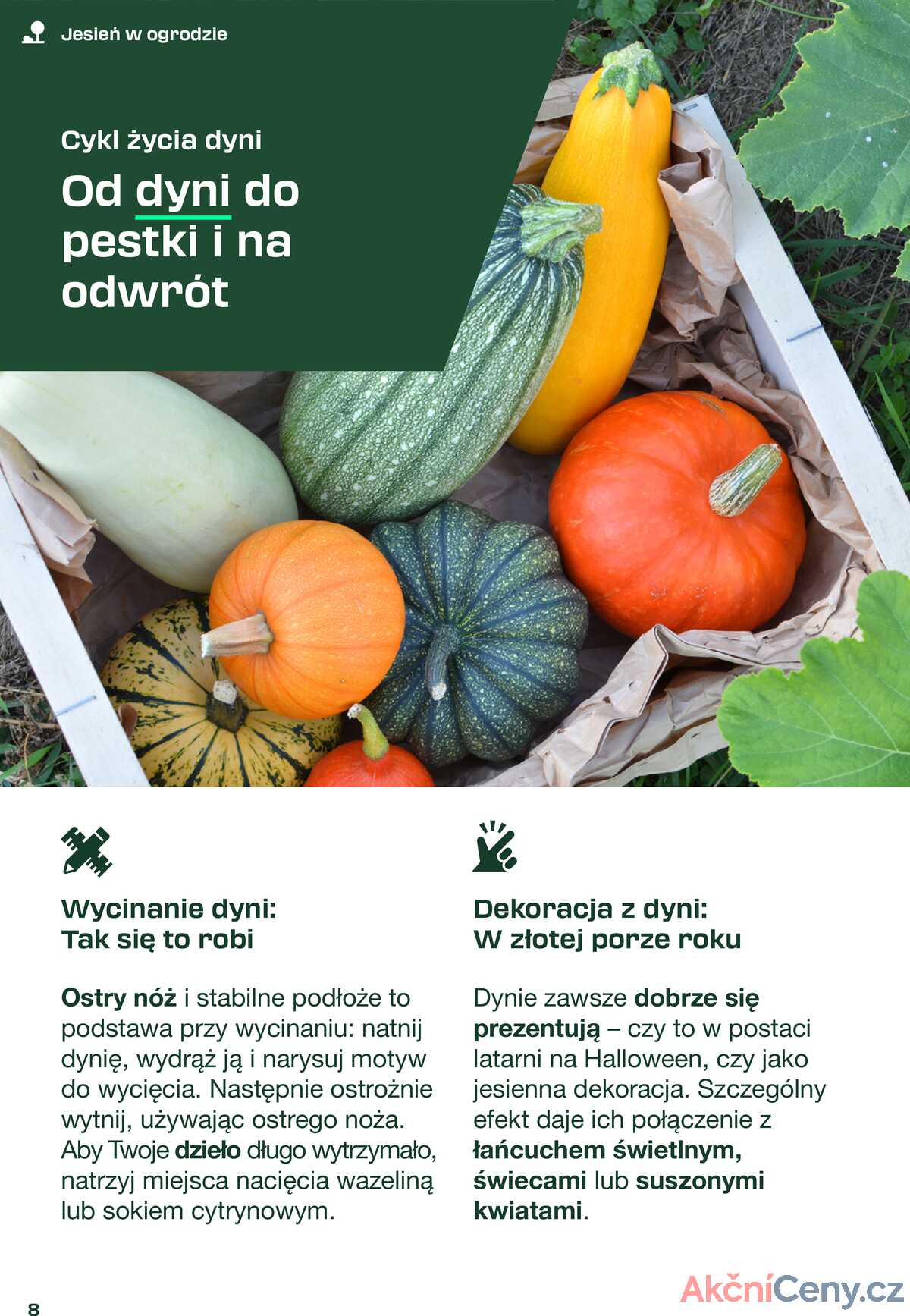 Leták Lidl Polsko 31.8.-11.10.2025 - Časopis PARKSIDE strana 8