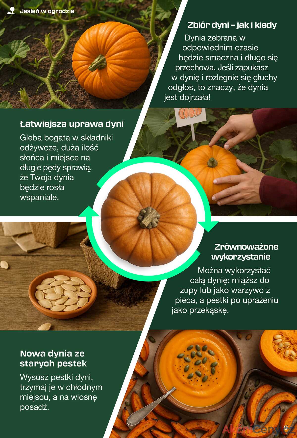Leták Lidl Polsko 31.8.-11.10.2025 - Časopis PARKSIDE strana 9