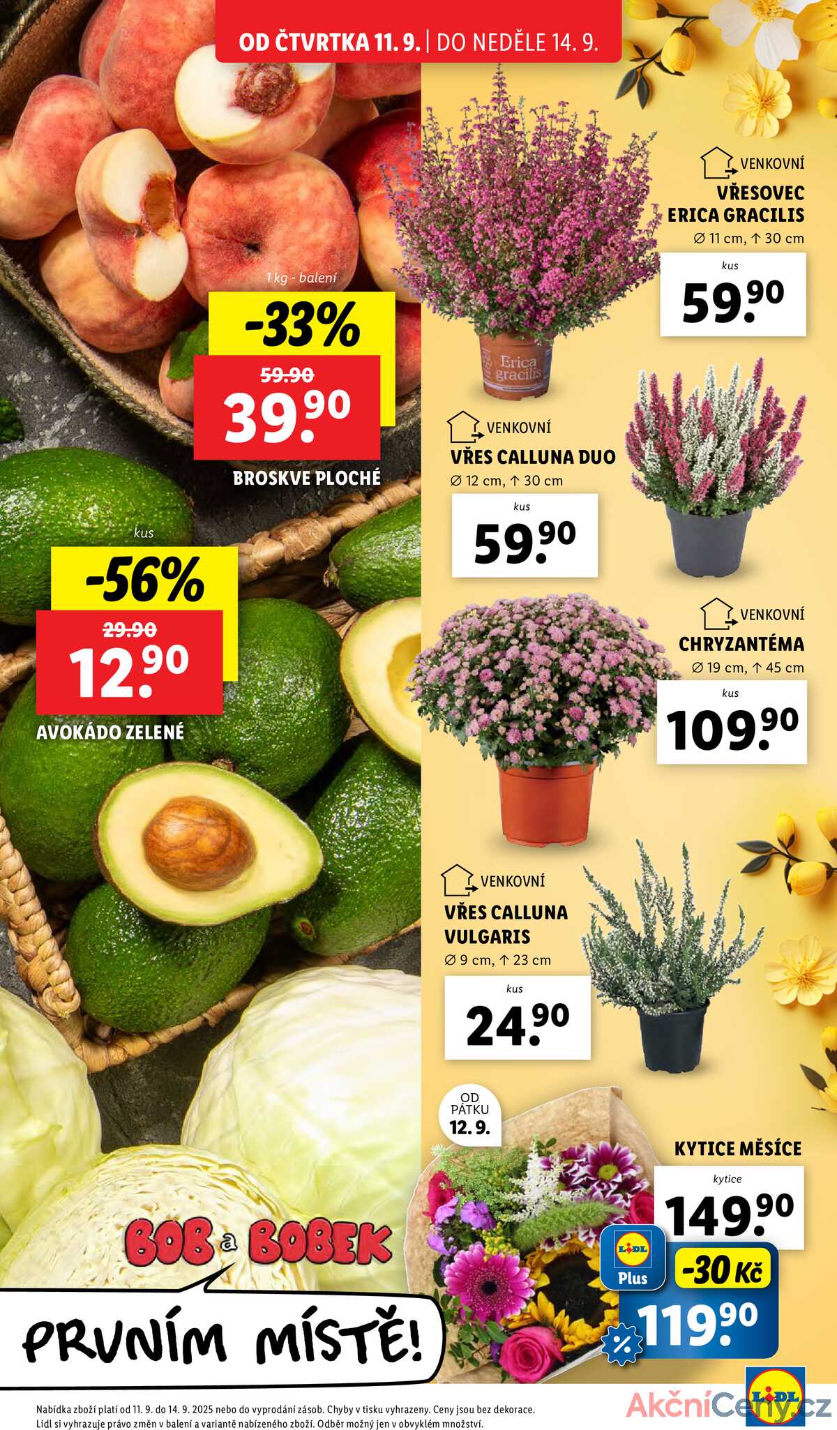 Lidl Čtvrtek od 11.9. do 14.9.2025 strana 13