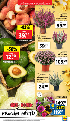 Lidl Čtvrtek od 11.9. do 14.9.2025