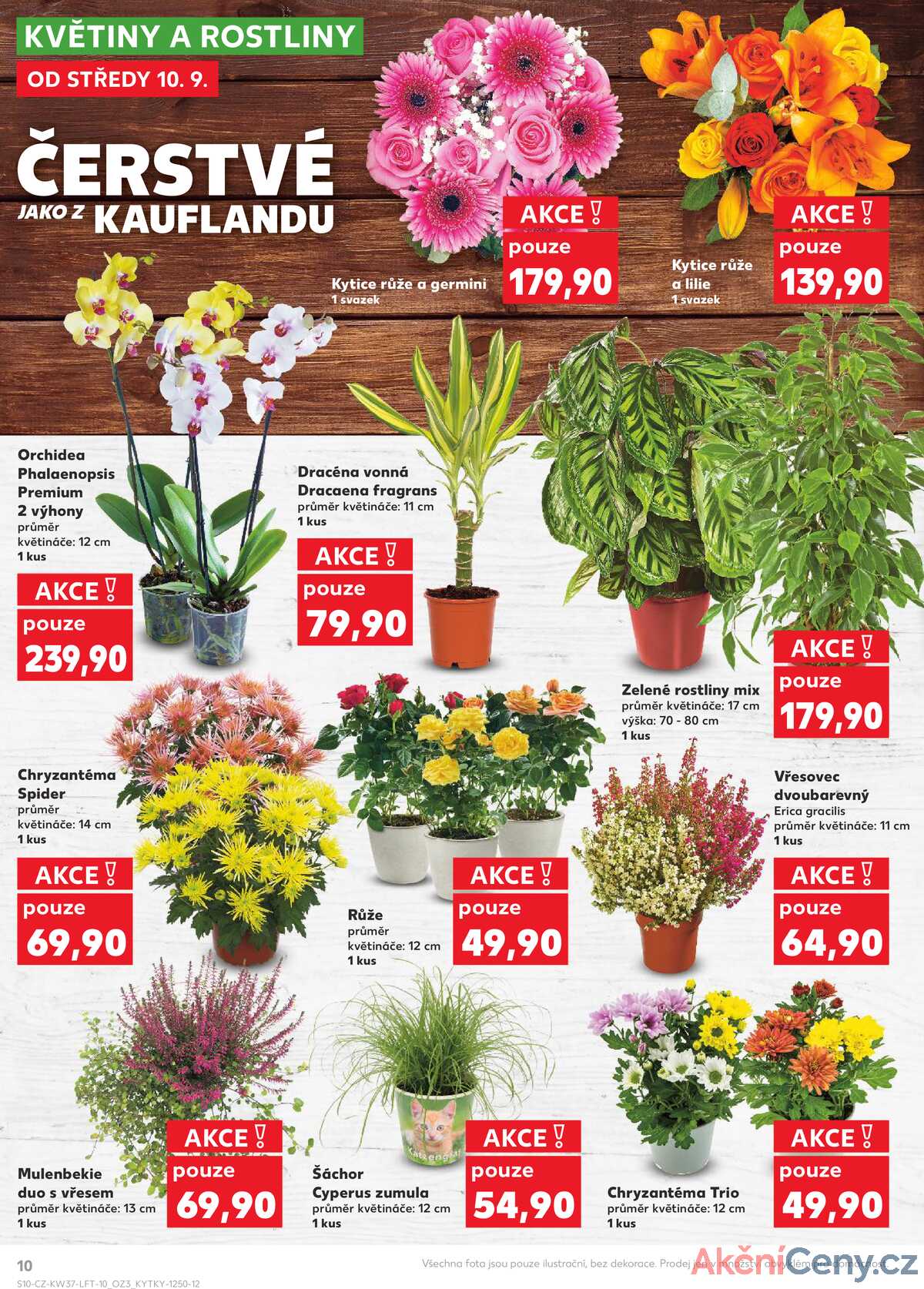Kaufland 10.9. - 16.9. - Kaufland - Roudnice nad Labem strana 10