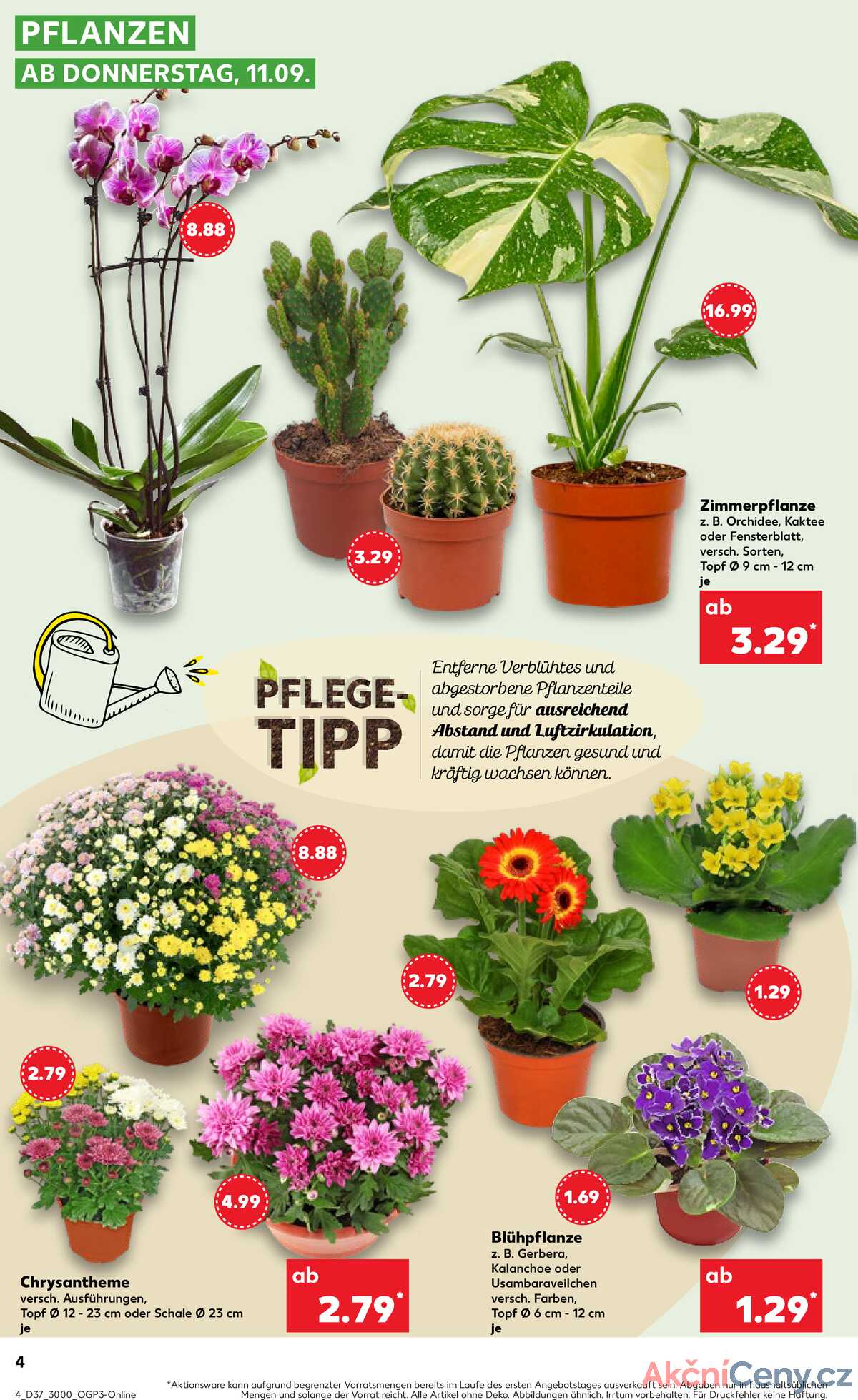 Leták Kaufland Německo 11.9.-17.9.2025 strana 4