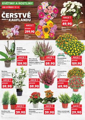 Kaufland 17.9. - 23.9. - Kaufland - Praha 8 (Libeň)