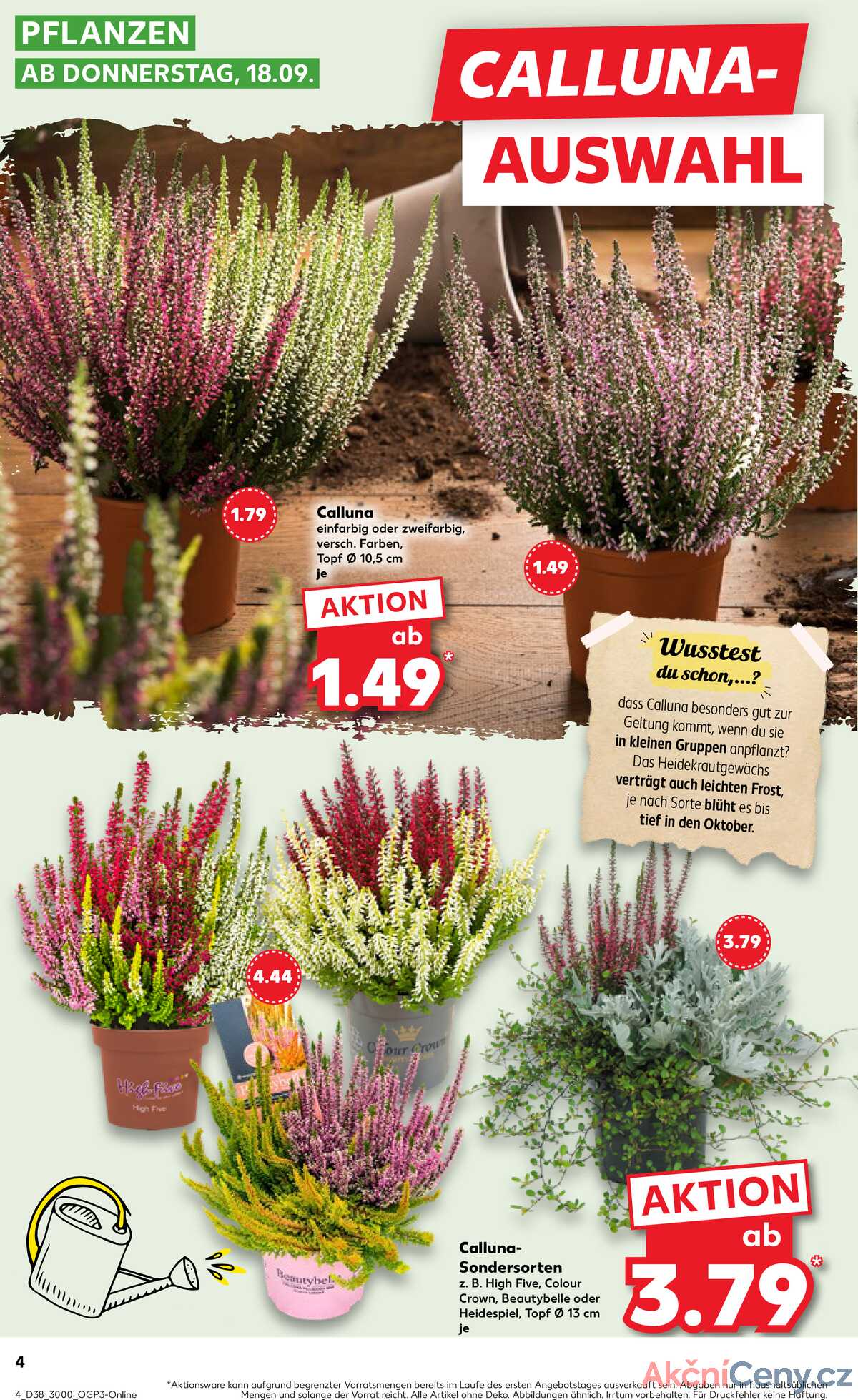 Leták Kaufland Německo 18.9.-24.9.2025 strana 4