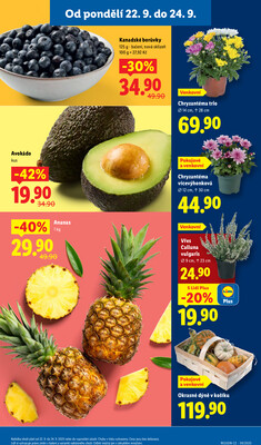 Leták Lidl
		  platný do 24.9.2025 - strana 13