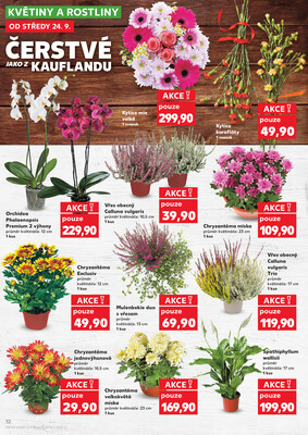 Kaufland 24.9. - 30.9. - Kaufland - Brandýs nad Labem