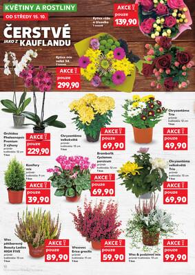 Kaufland 15.10. - 21.10. - Kaufland - Třinec - Lyžbice