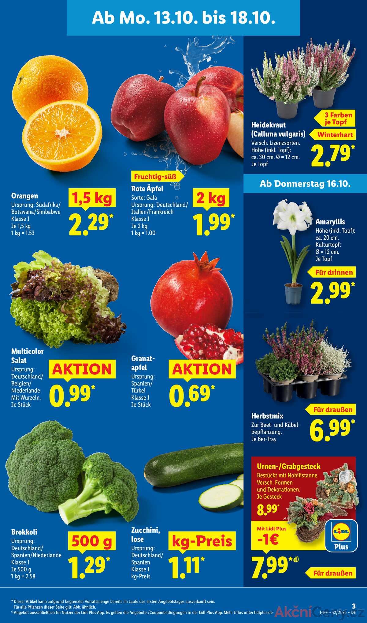 Leták Lidl Německo 13.10.-18.10.2025 strana 3