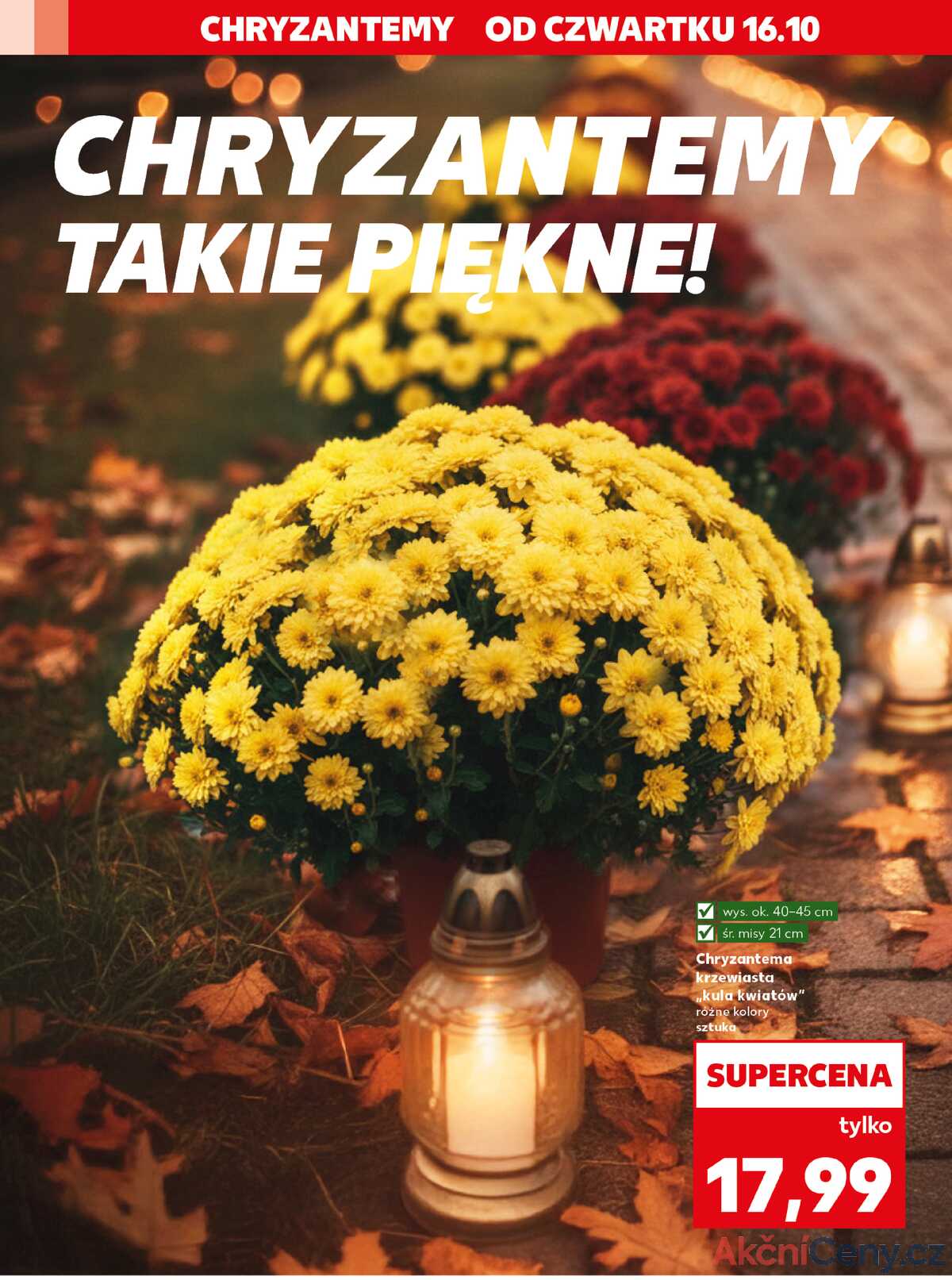 Leták Kaufland Polsko 16.10.-22.10.2025 strana 2