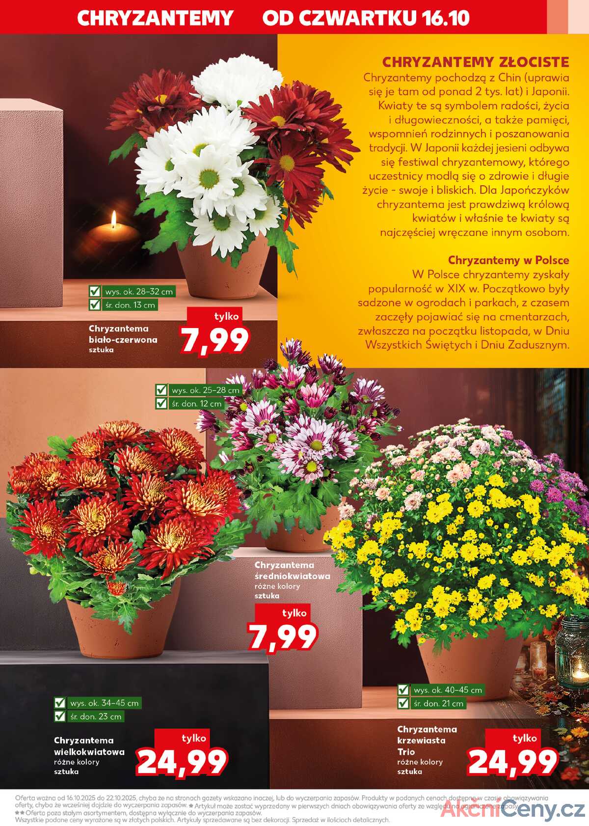 Leták Kaufland Polsko 16.10.-22.10.2025 strana 3