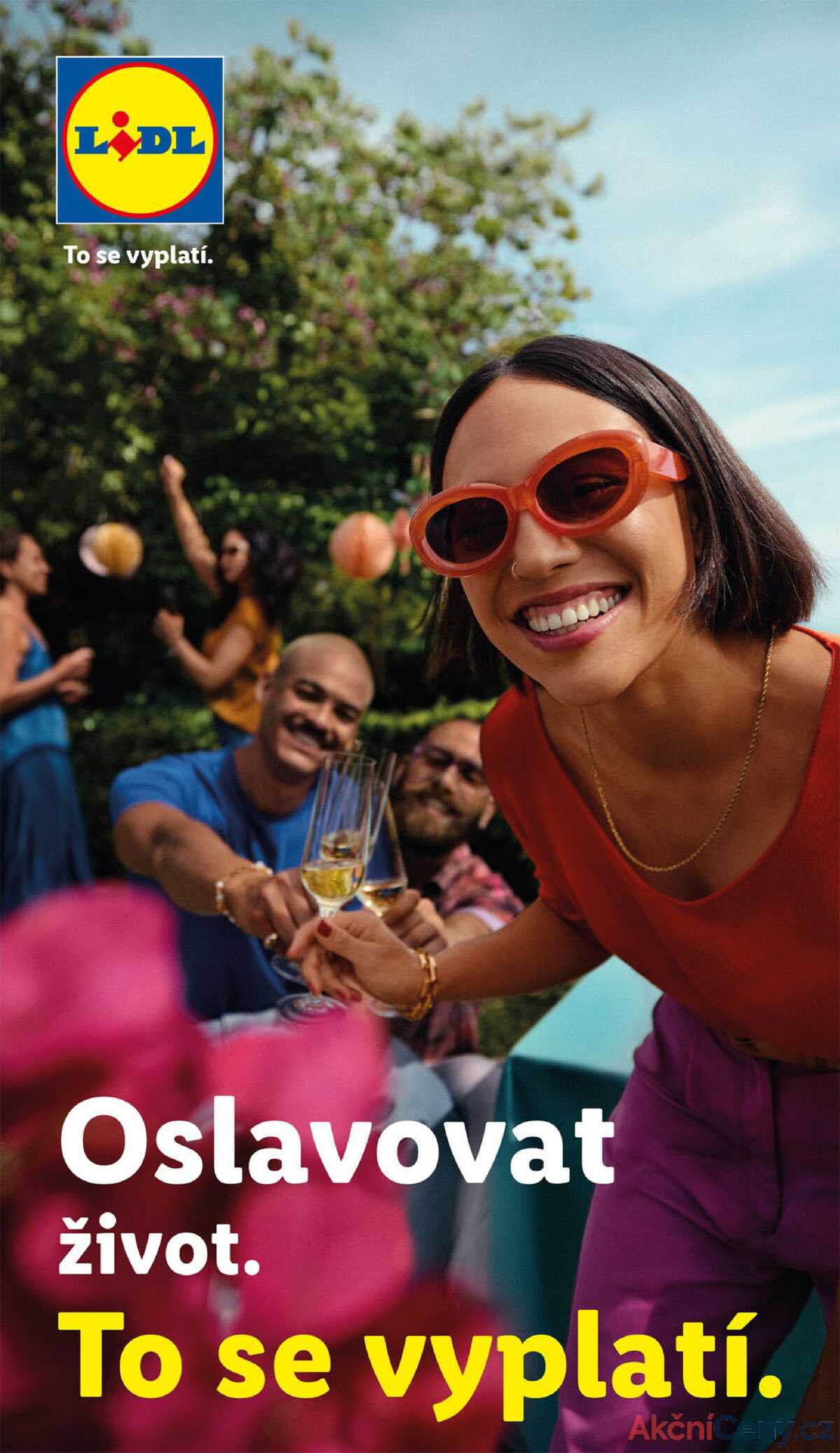 Lidl Čtvrtek od 23.10. do 26.10.2025 strana 19
