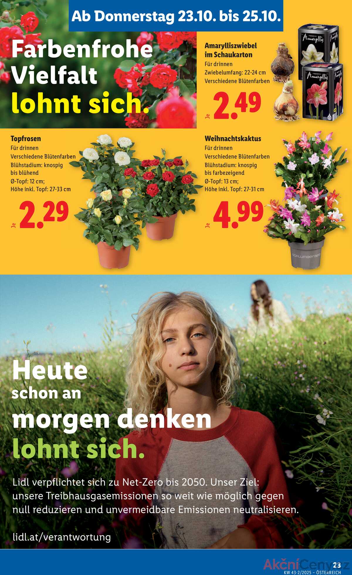 Leták Lidl Rakousko 23.10.-29.10.2025 strana 29