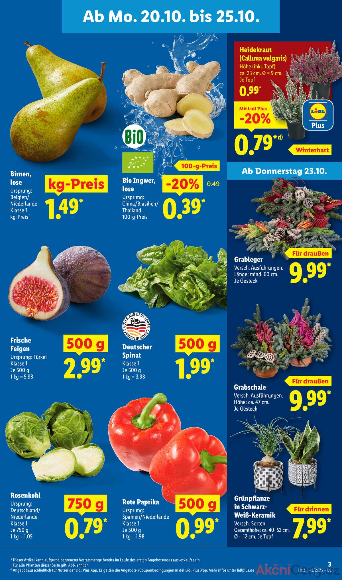 Leták Lidl Německo 20.10.-25.10.2025 strana 3