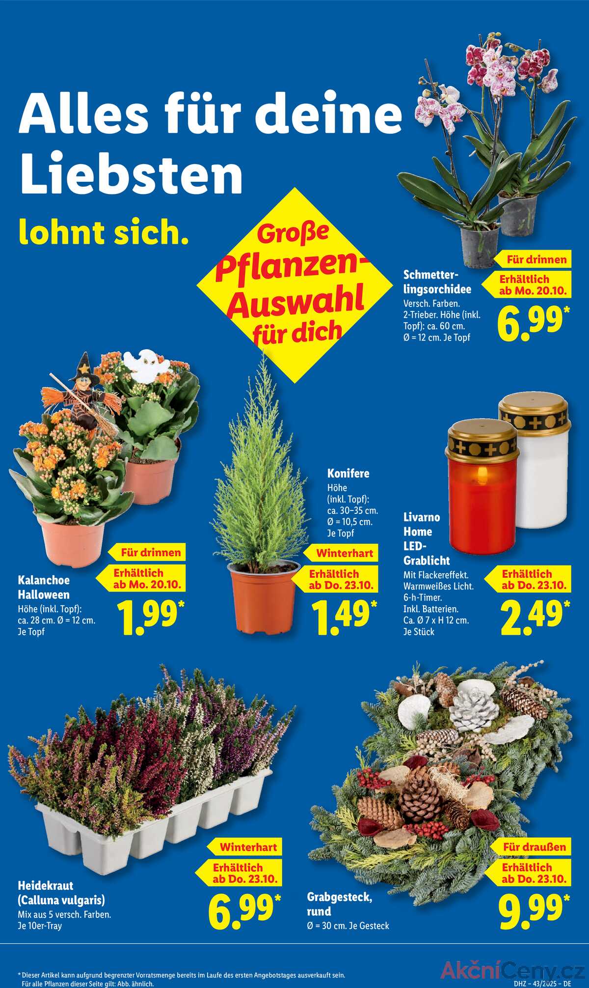 Leták Lidl Německo 20.10.-25.10.2025 strana 49