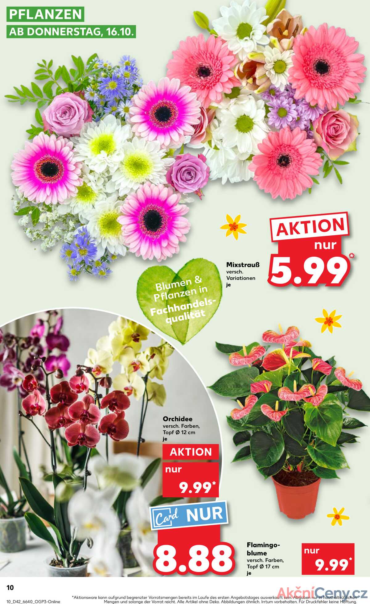 Leták Kaufland Německo 19.10.-22.10.2025 strana 10