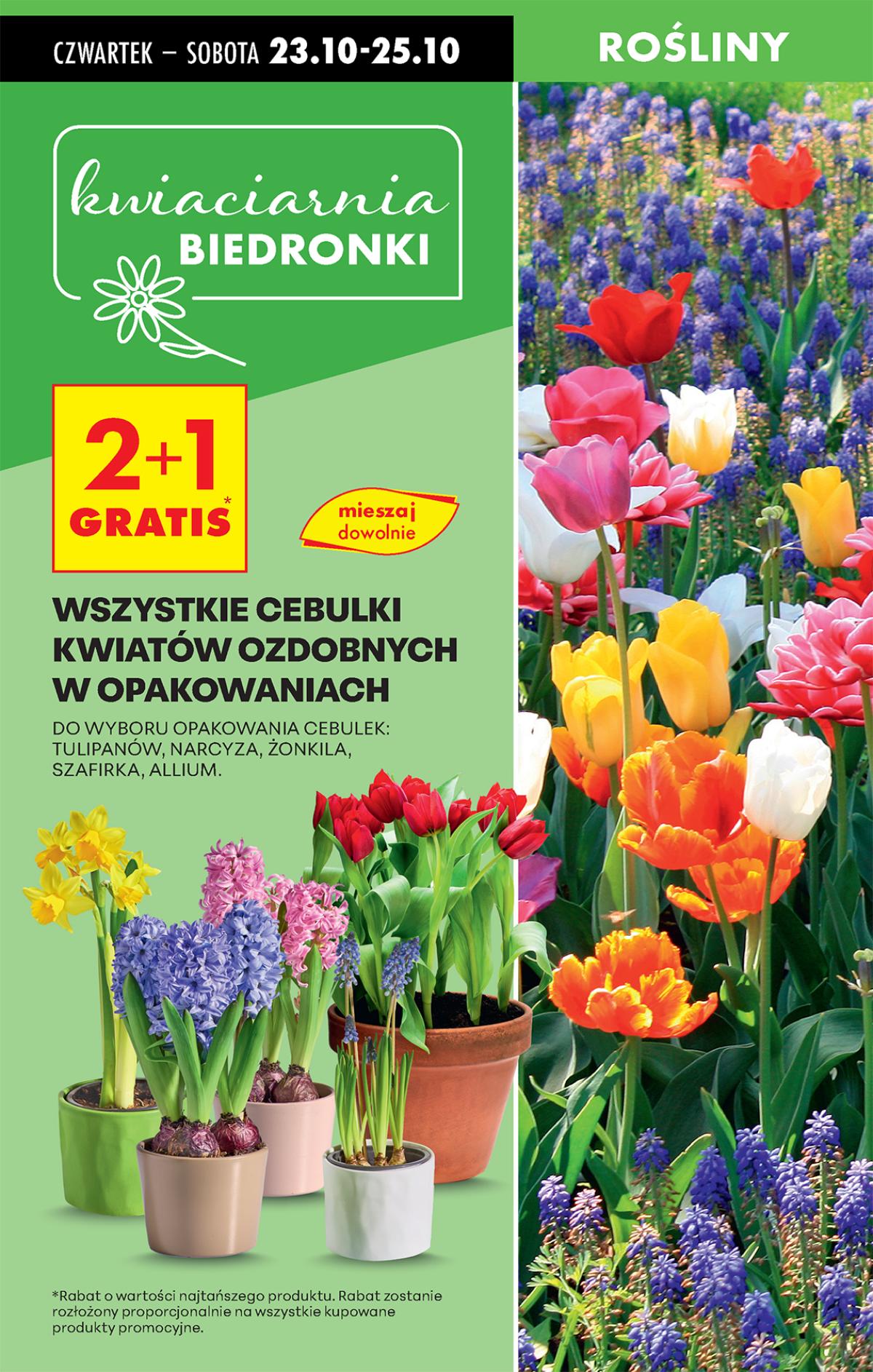 Leták Biedronka Polsko 23.10.-29.10.2025 strana 19