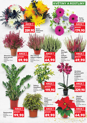Kaufland 28.10. - 4.11. - Kaufland - Bohumín