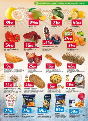 Trefa od 29.10. do 4.11.2025