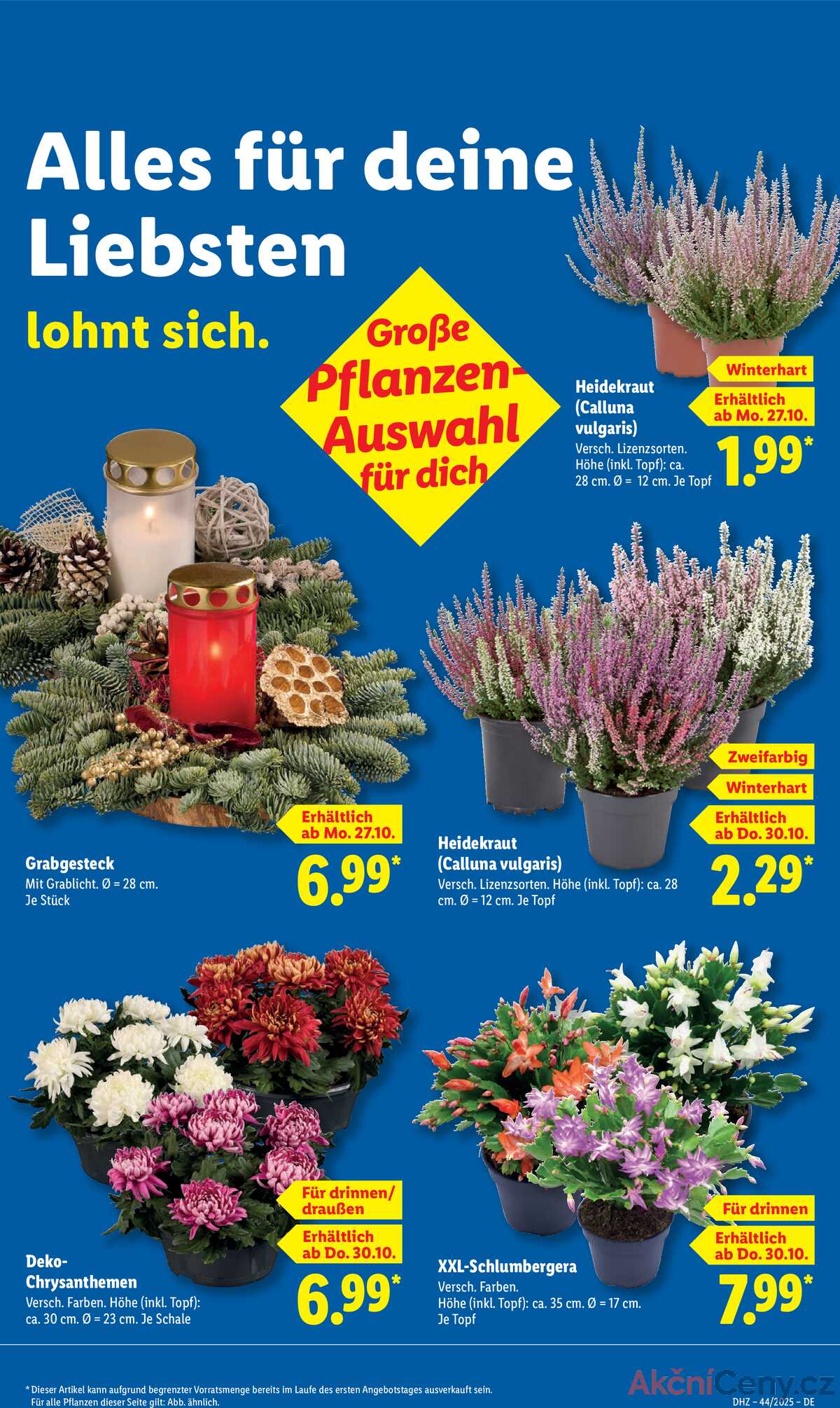 Leták Lidl Německo 27.10.-1.11.2025 strana 21