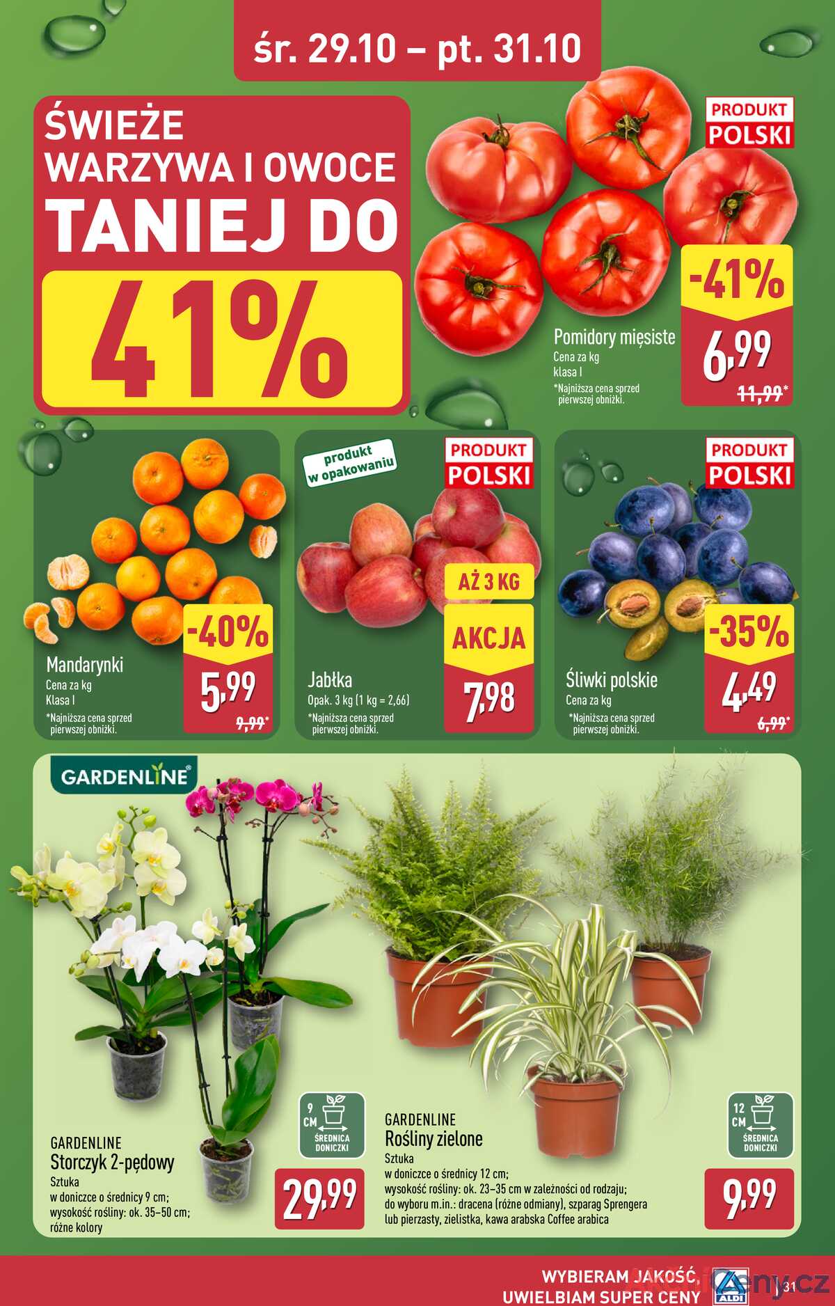 Leták Aldi Polsko 27.10.-1.11.2025 - Úplná nabídka strana 31